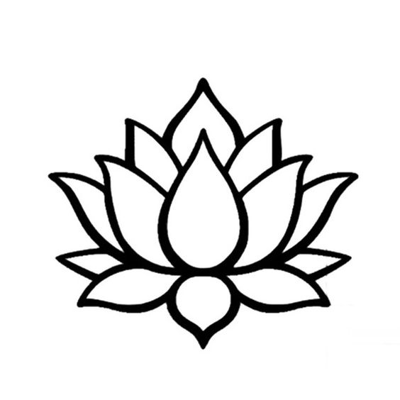 Lotus Collection